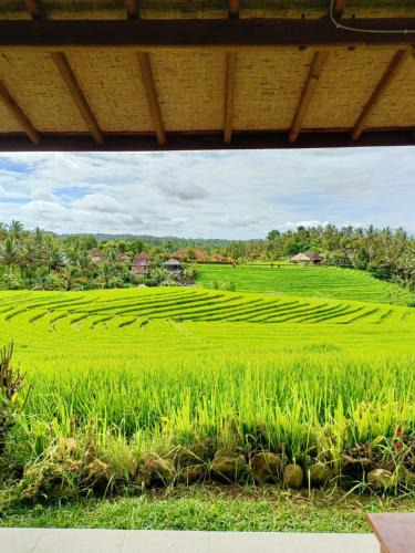 East Selemadeg House | Sunny Cottages By Balitrees