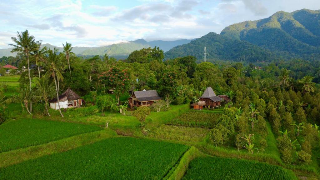 Sawan Hotel | Sunset Sala- Experience the REAL Bali