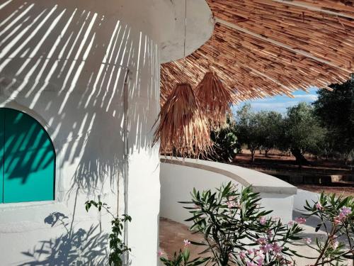 Messini House | Sunsets and Olive Trees