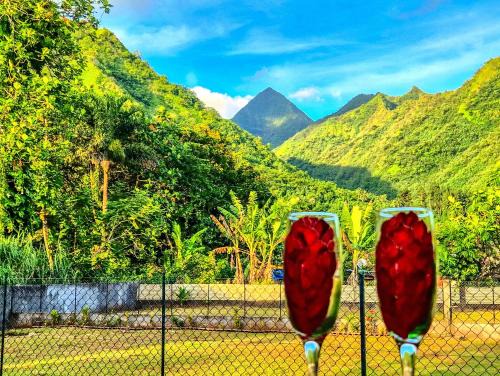 Teahupo'o Apartment | Teahupo'o Lodge Tahiti - Studio Tropical vue lagon et montagnes