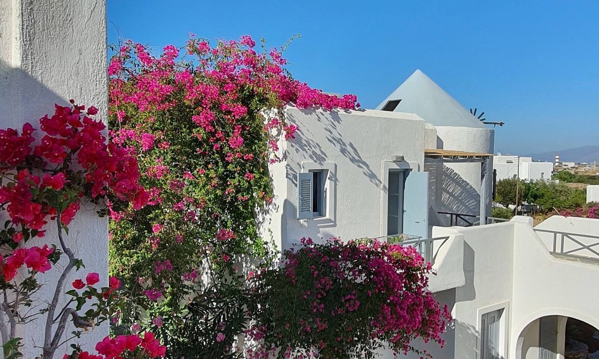 Naousa House | Teoria Paros | Matsas Windmill