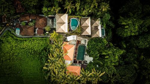 Petulu Hotel | The Pari Sudha