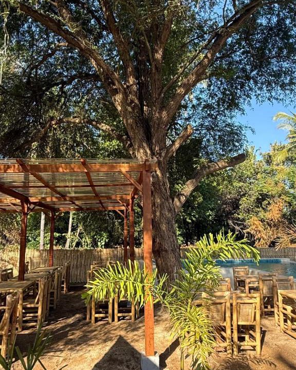 Gili Air Hotel | The Tree Poolbar&Resort