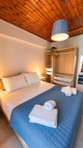 Nidri Apartment | Thelxis Room
