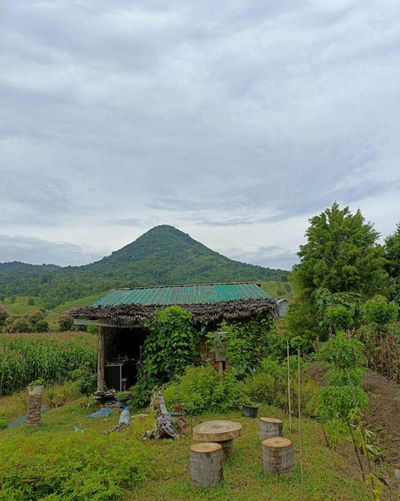 Sekongkang House | Tiny House Balas