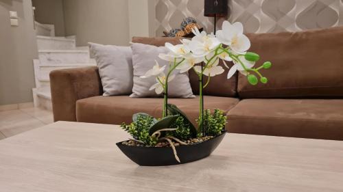 Toroni Apartment | Toroni Pearl