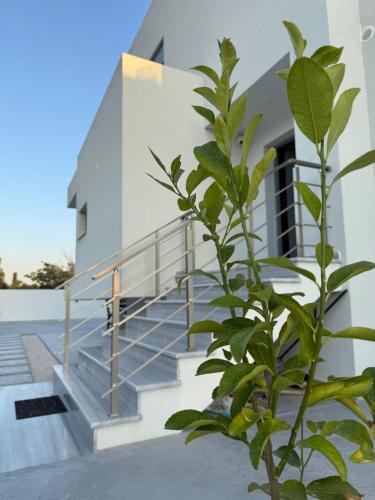Loutraki Villa | Toska Residence