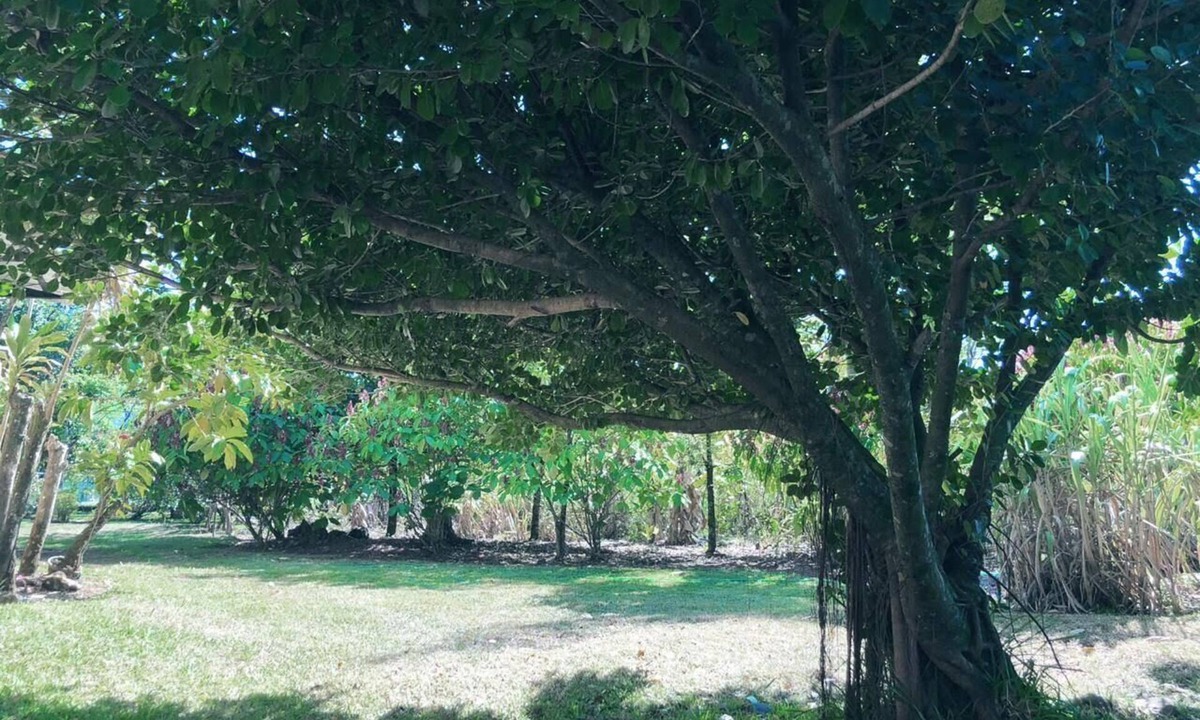 La Vega Province House | Traducción