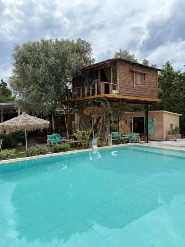 Dirfys-Messapia Apartment | Tuz Treehouse