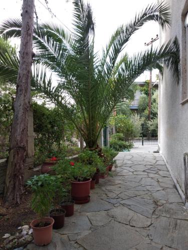 Toroni Hotel | Velikis Apartments