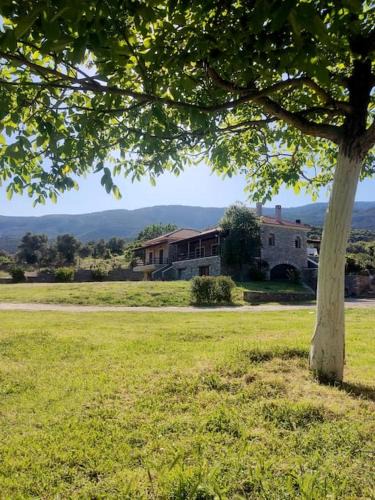 Sipiada Apartment | Venus cottage