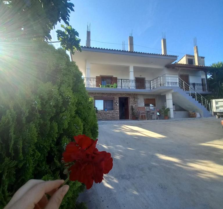 Aliko House | VILA PASHA