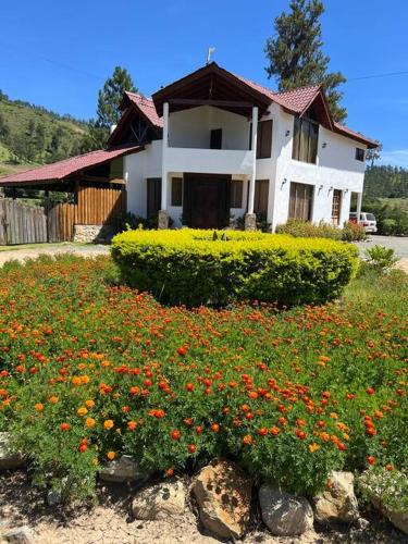 Constanza Villa | Villa Cipreses del Arroyo