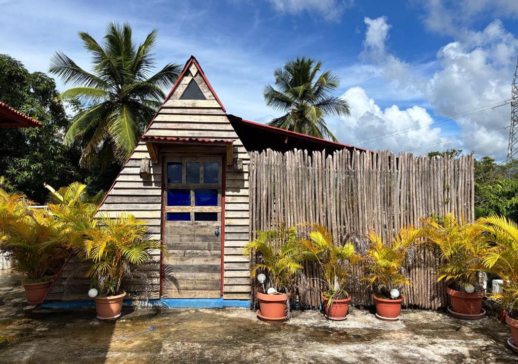 Samana Apartment | Villa Coconut