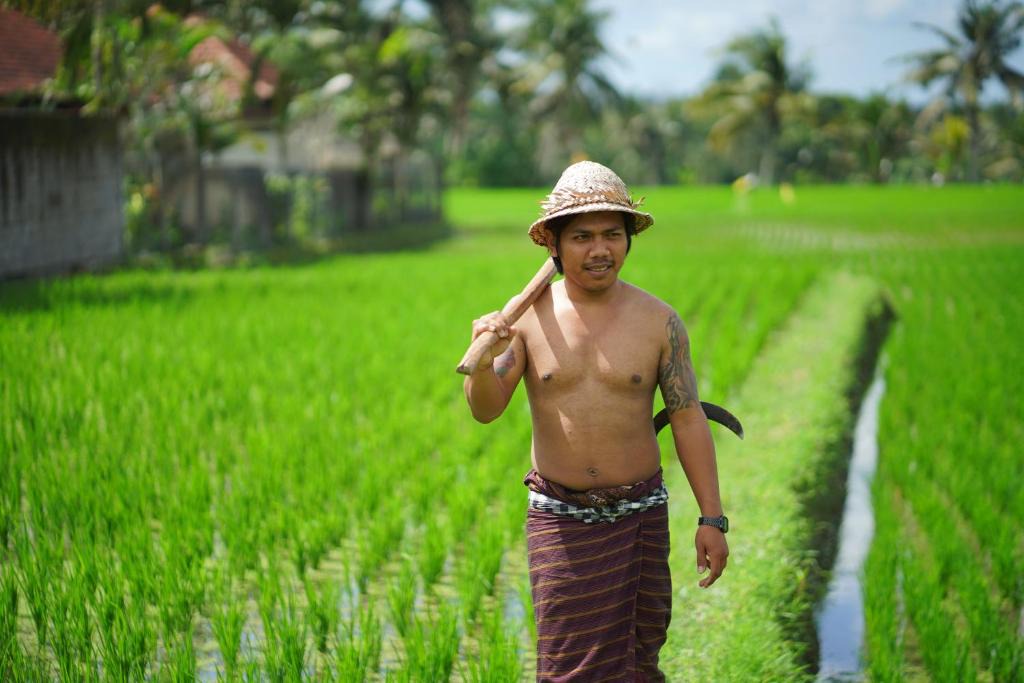 Singakerta Hotel | Villa Mandi Resort & Spa