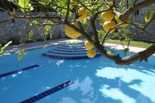 Spetses Hotel | Villa Martha