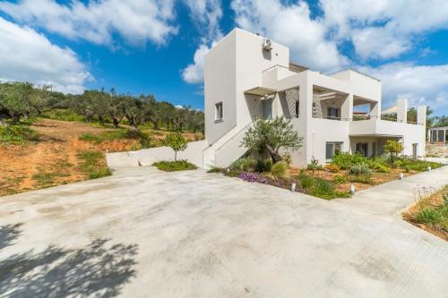 Tavronitis Villa | Villa Oliveto