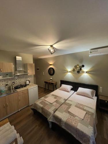 Olymbiaki Akti Apartment | Villa Rafailia