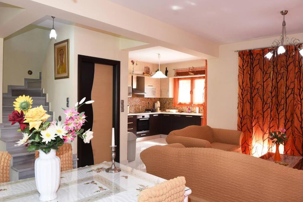 Ioannina Villa | Villa Spiros