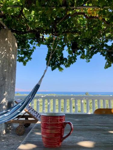 Drapanias Apartment | Villa Stefania - with Sea View Terrace