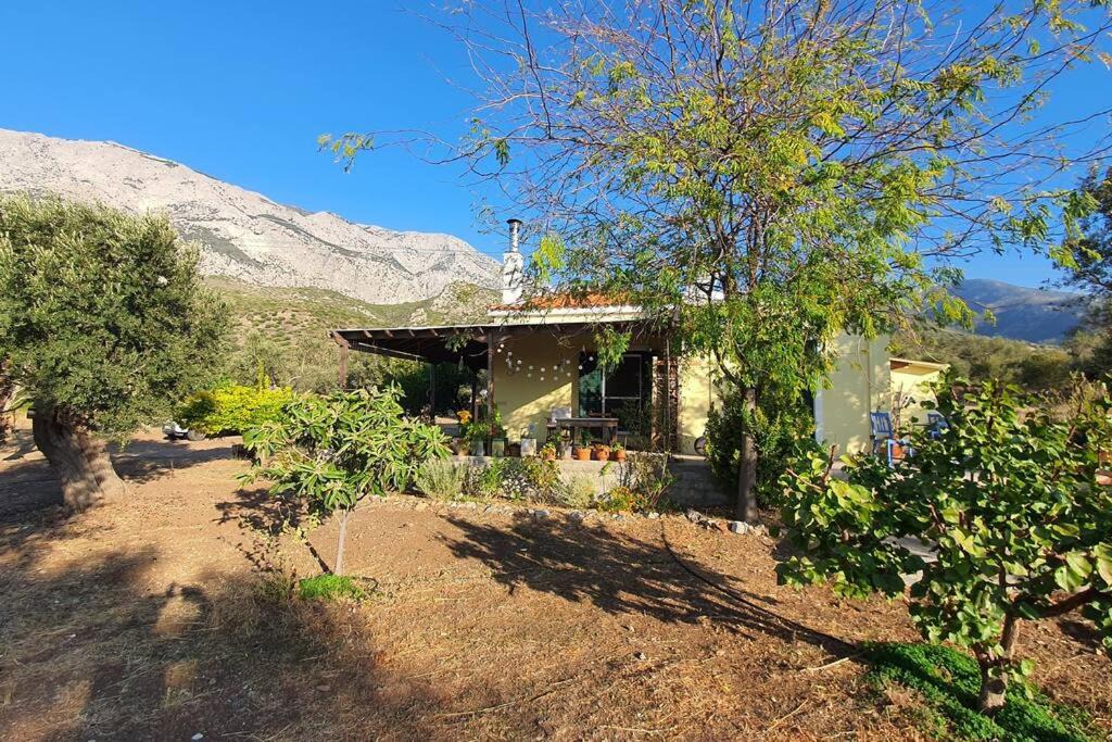 Kampos Marathokampou Villa | Villa Votsalakia