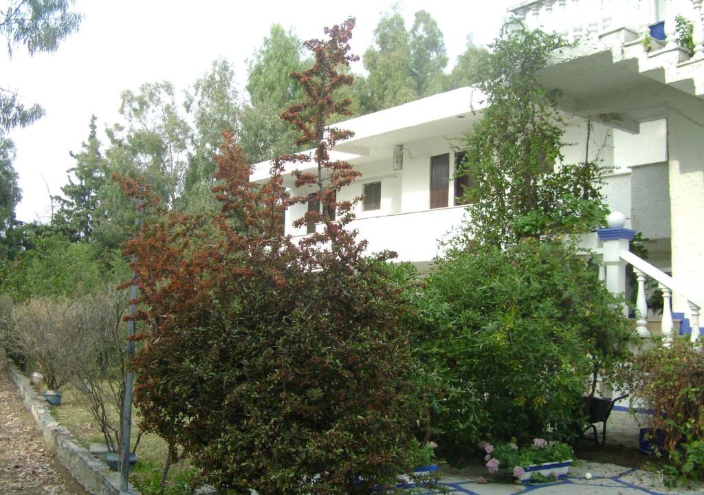 Molos Apartment | Villa Zoi