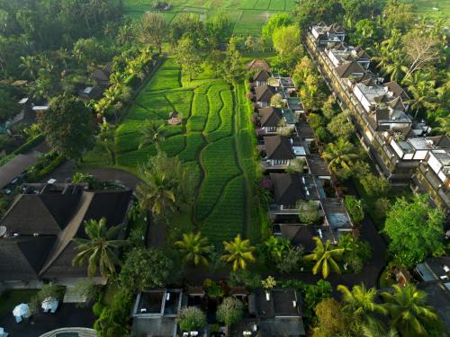 Ubud Villa | Visesa Ubud Villa