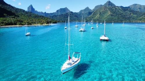 Pihaena Boat Rental | Voilier Iférouane