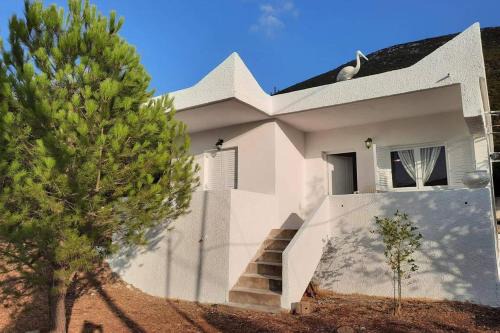 Steni Dirfyos House | White Villa in Olive trees and Seaview to Panagia