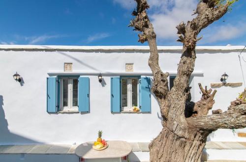 Tinos House | Xenia Xinara