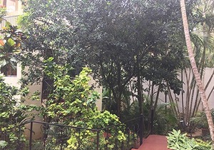 1BD guest-friendly condo opposite main Sosua supermarket, TV/Wi-Fi/pool