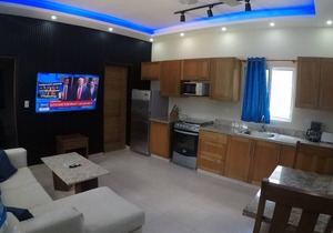 A Downtown one bedroom 1.5 bathroom condo.