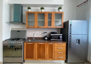 AMAZING Apt WiFi+AC in the heart of Santo Domingo