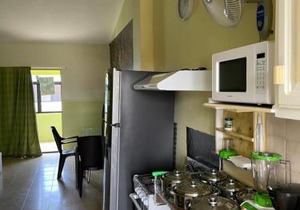 Apartment in Plaza Europa