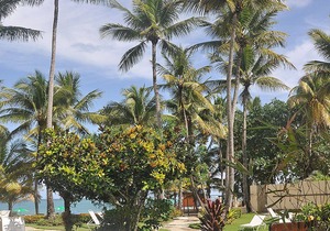 Groundfloor 2BD 2BTH beachfront condo with sea views, pool/AC/Wi-Fi, near all