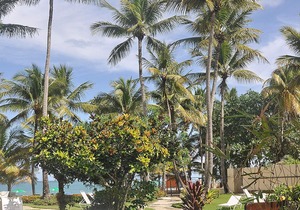 Guest-friendly beachfront penthouse, sea views, top floor, pool, near all!