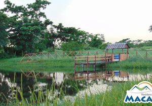 HOME SWEET HOME PUNTA CANA (MACAO)-CLOSE TO BEACH