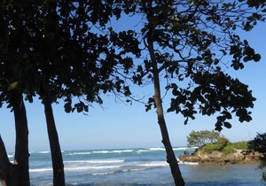Luxury 5-Bedroom Villa with Private Pool, Maid, Optional Chef, VIP Services