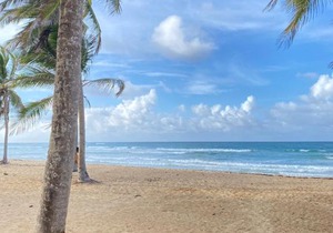 Uvero Tropical Beach Rental #1