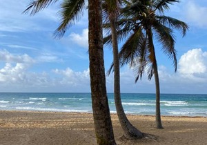 Uvero Tropical Beach Rental #1