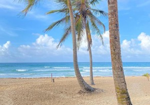 Uvero Tropical Beach Rental #2