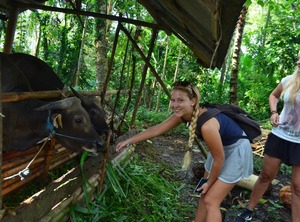 Beluran Serene Guesthouse | Tabanan