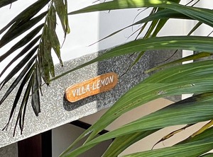 Garden The Beach | Anse Royale