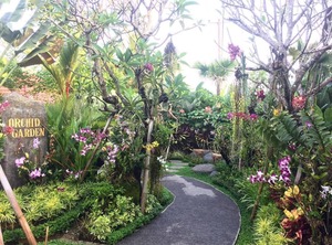 Kartika Dahayu Villas | Saba