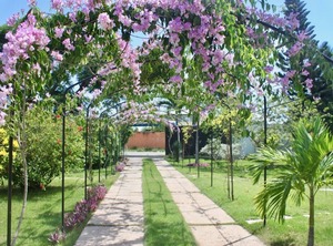 Villa Tobago Un | Bella Vista