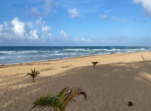 Uvero Beach Rental | Punta Cana