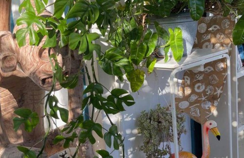 Dominicus Bed & Breakfast | 25 m² Bed and breakfast ∙ 4 guests