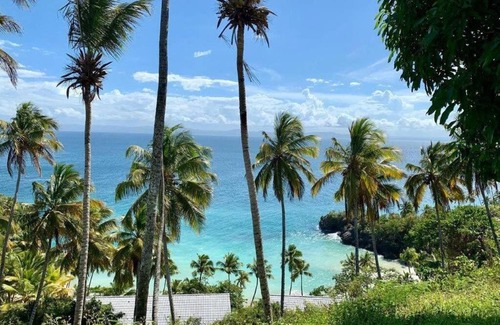 Punta Balandra Apartment | Apartamento Condominio Vista Mare Samana