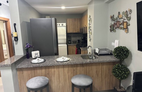 Downtown Santo Domingo Apartment | Apartamento Cerca del Blue Mall