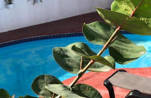 Bavaro Apartment | Barlovento